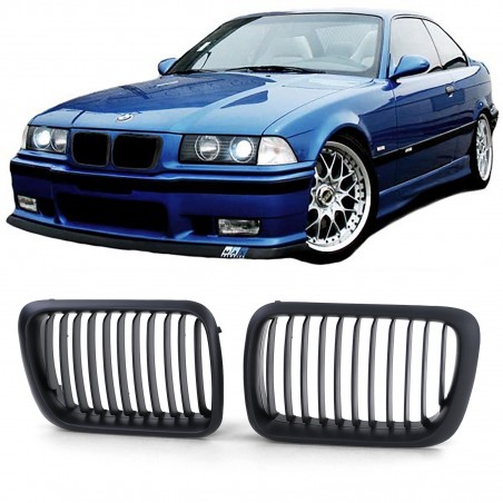 e36 mustat munuaiset